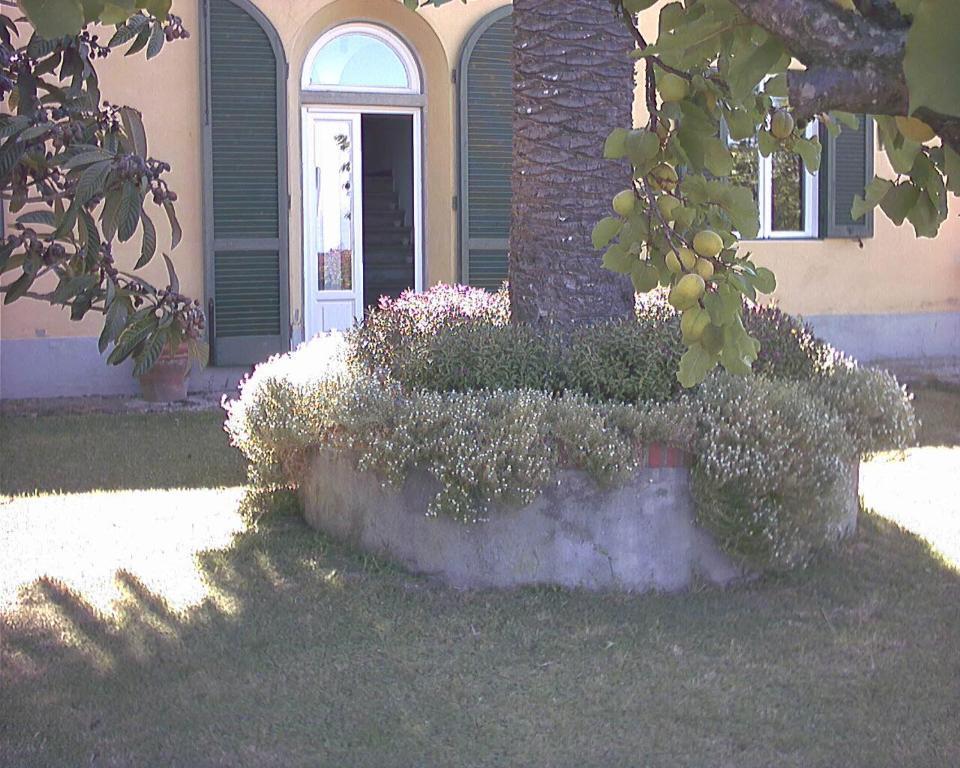 B&B Villa Panicucci Livorno Rom bilde