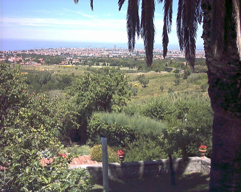 B&B Villa Panicucci Livorno Rom bilde