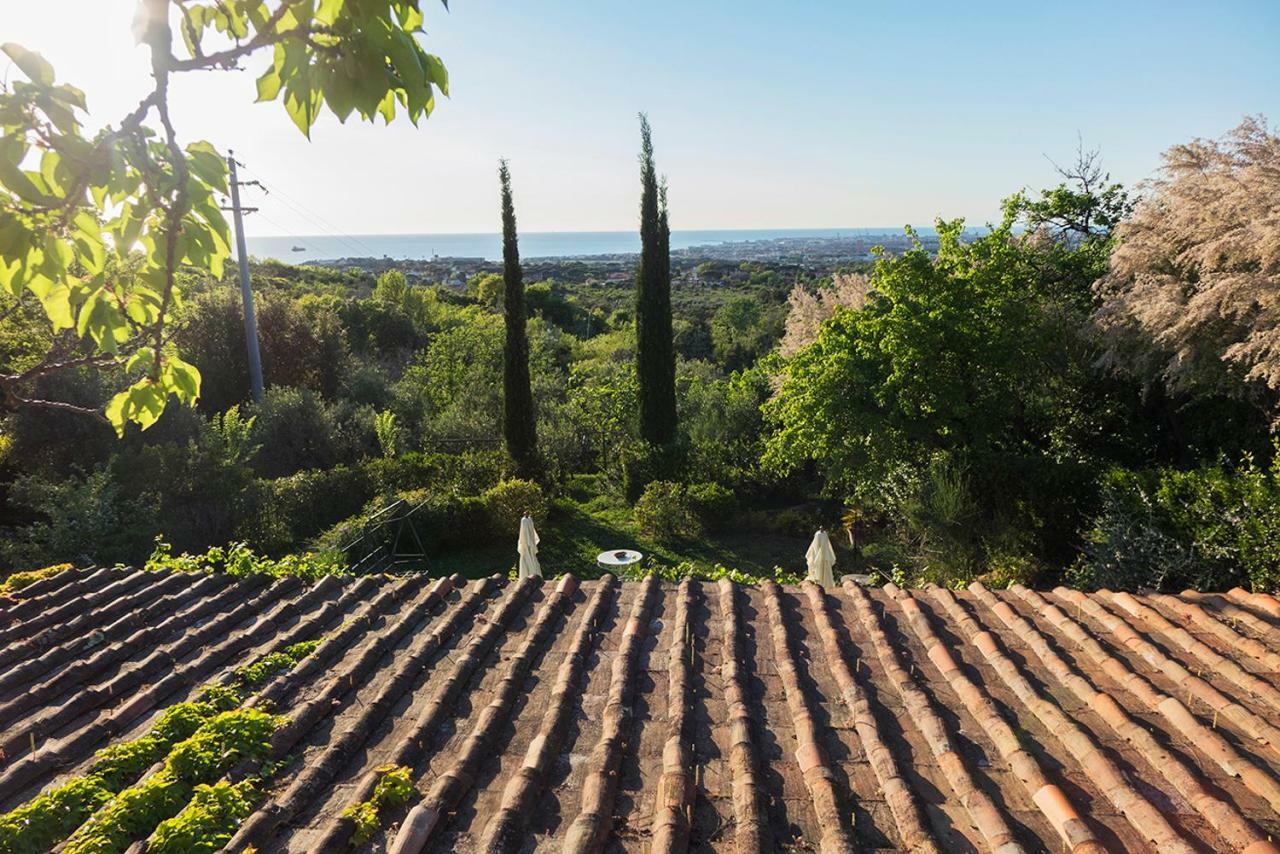 B&B Villa Panicucci Livorno Eksteriør bilde